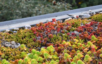 the cost of Aston Tirrold green roof installation