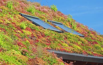 Aston Tirrold living roof systems