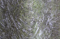 Aston Tirrold fibreglass roof work