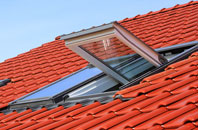 Aston Tirrold roof window